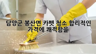 🏡 담양군 봉산면 카펫 청소, 합리적인 가격에 쾌적함을! ✨