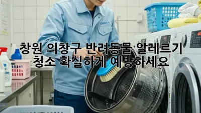 창원 의창구 반려동물 알레르기 청소, 확실하게 예방하세요!