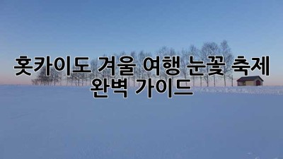홋카이도 겨울 여행: 눈꽃 축제 완벽 가이드